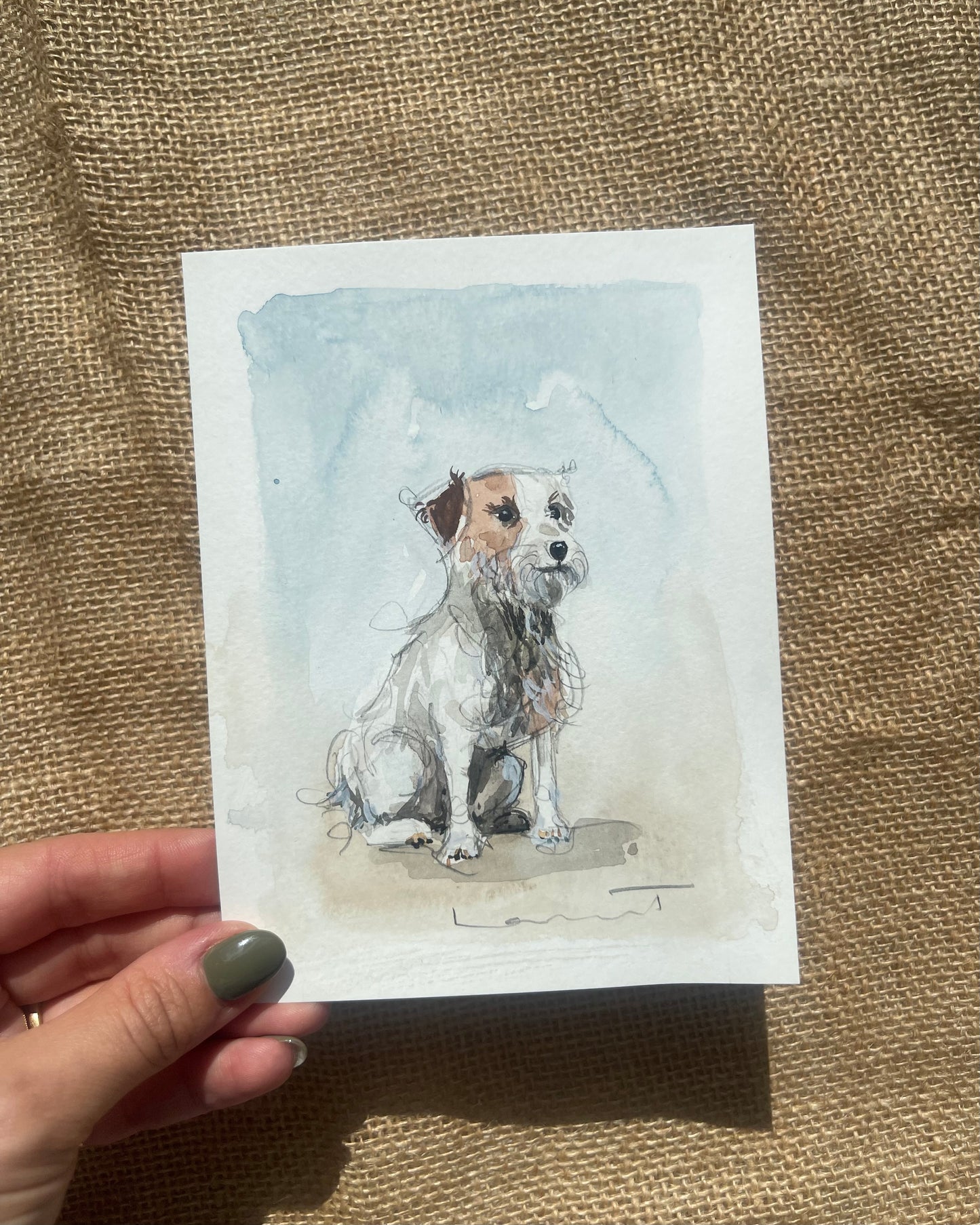 Jack Russel Terrier