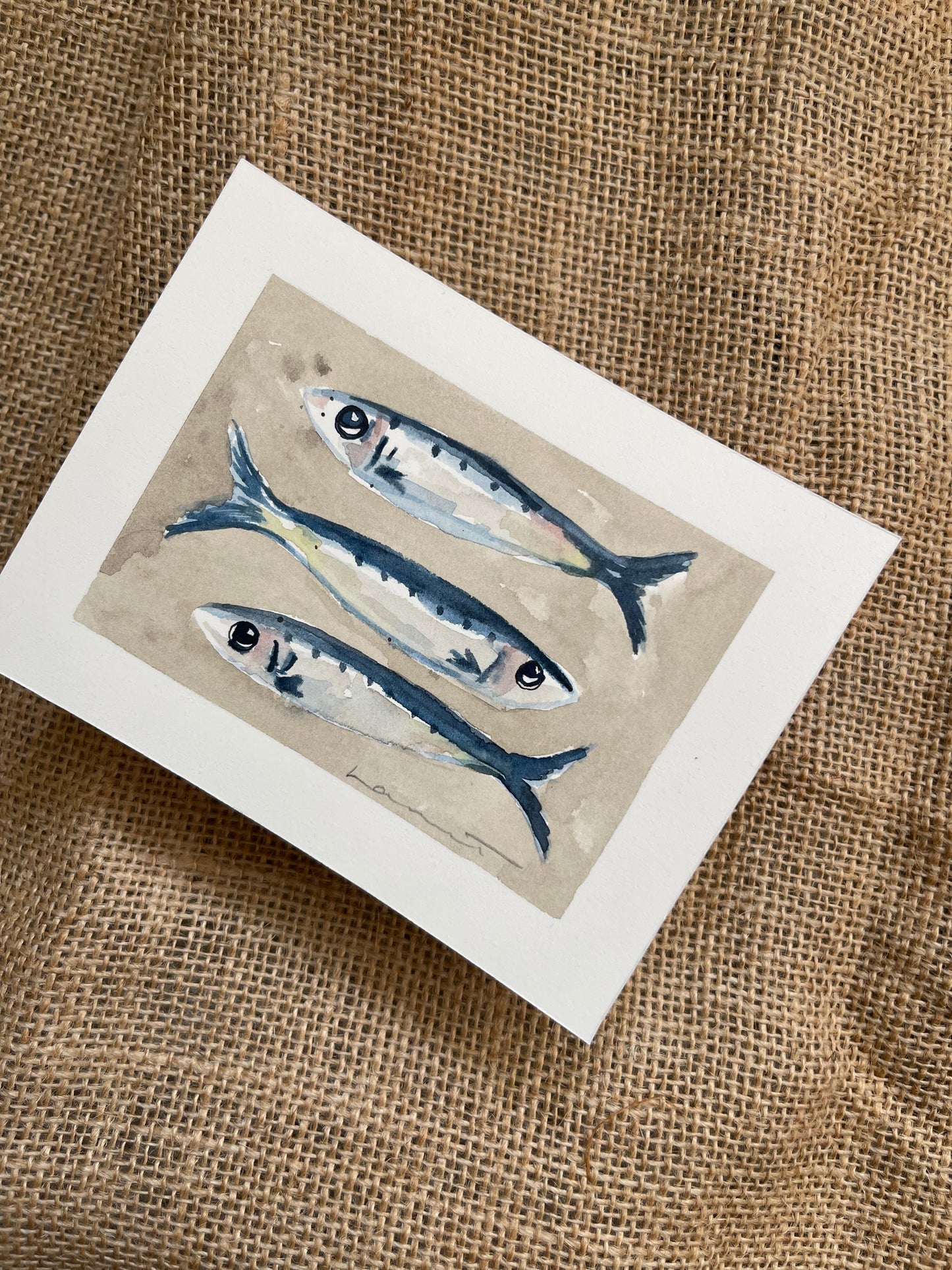 Sardine V Framed