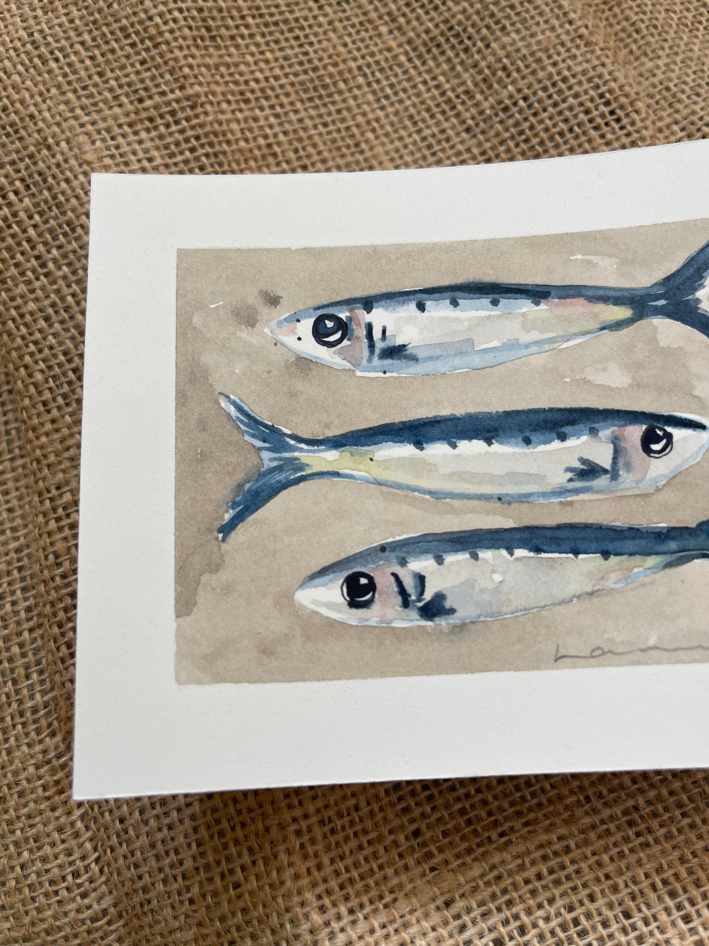 Sardine V Framed