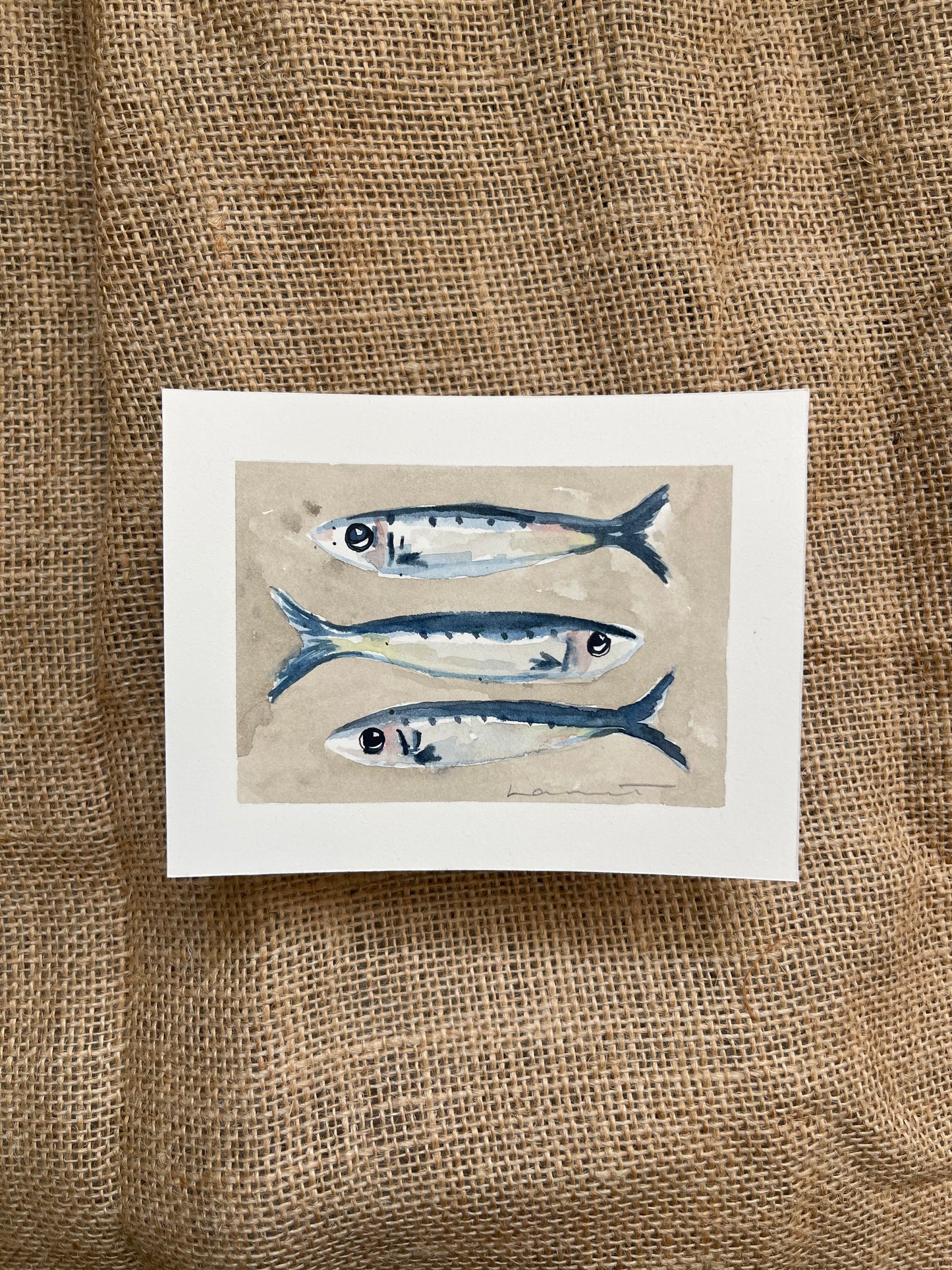 Sardine V Framed