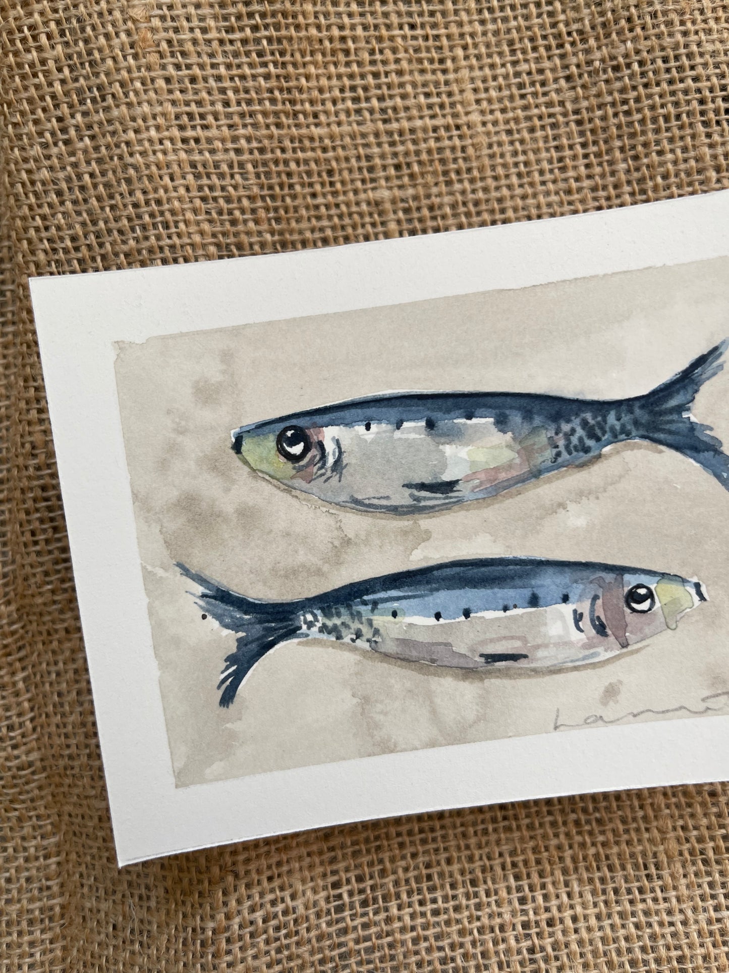Sardine VII