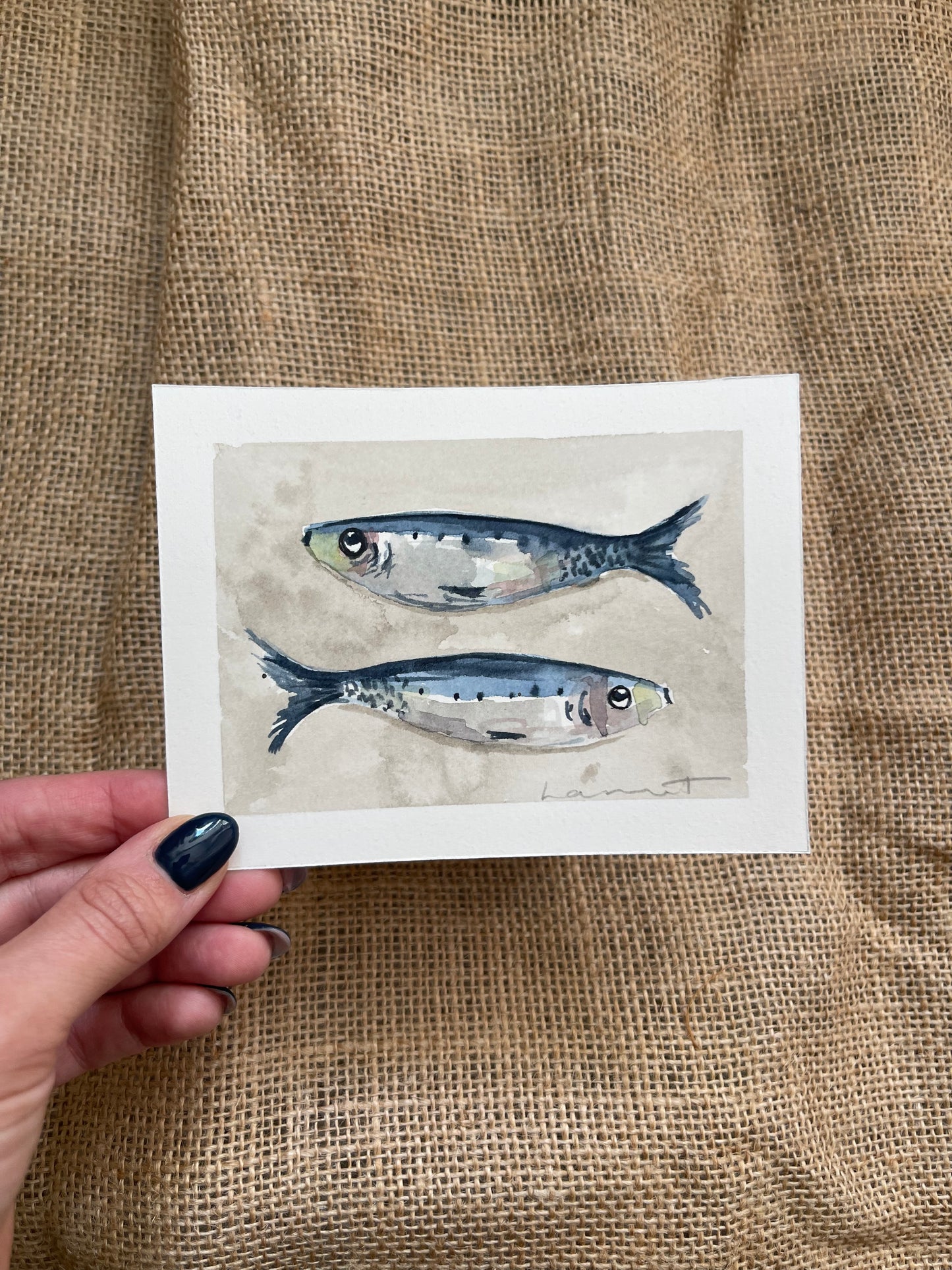 Sardine VII
