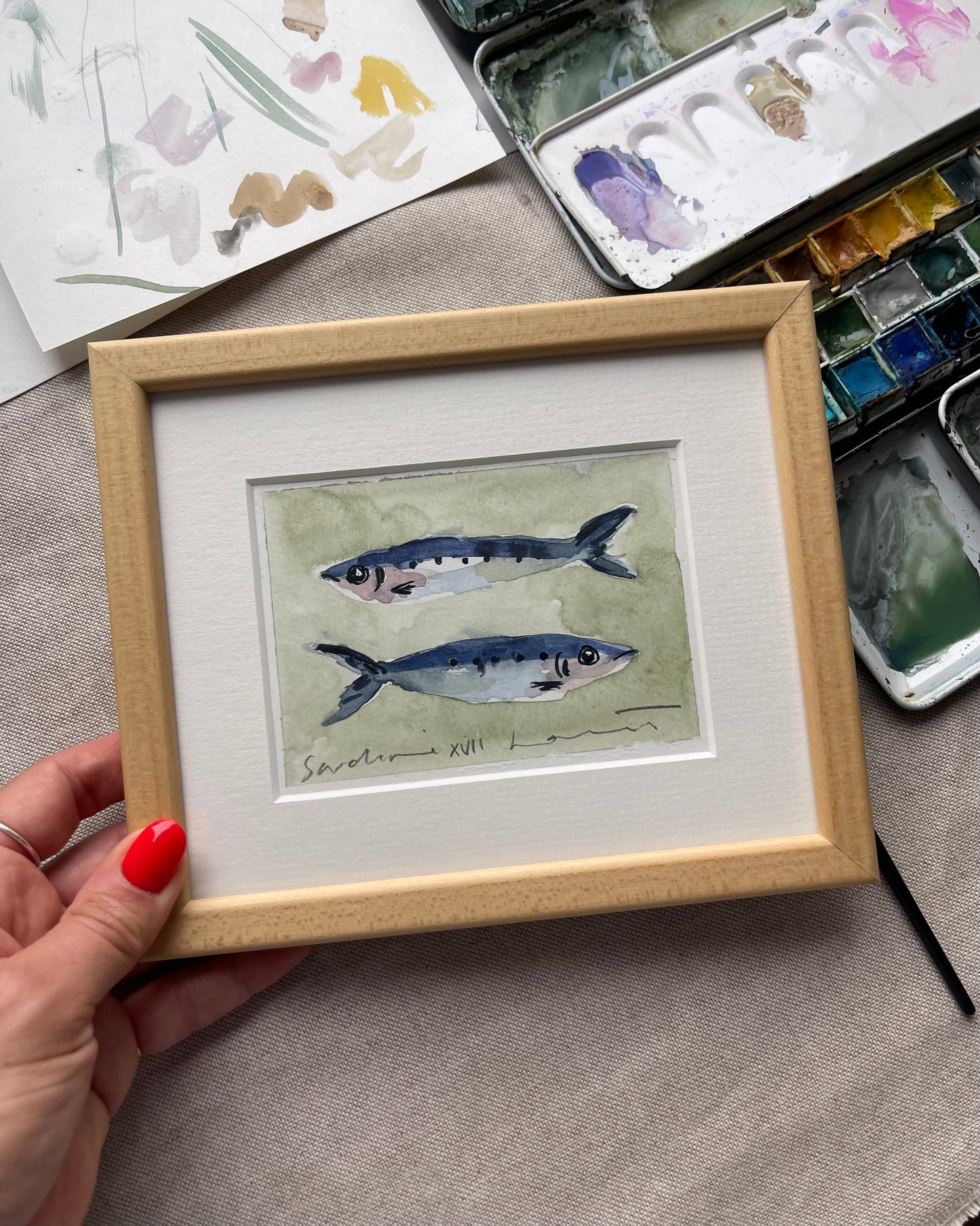 Sardine XVII Framed