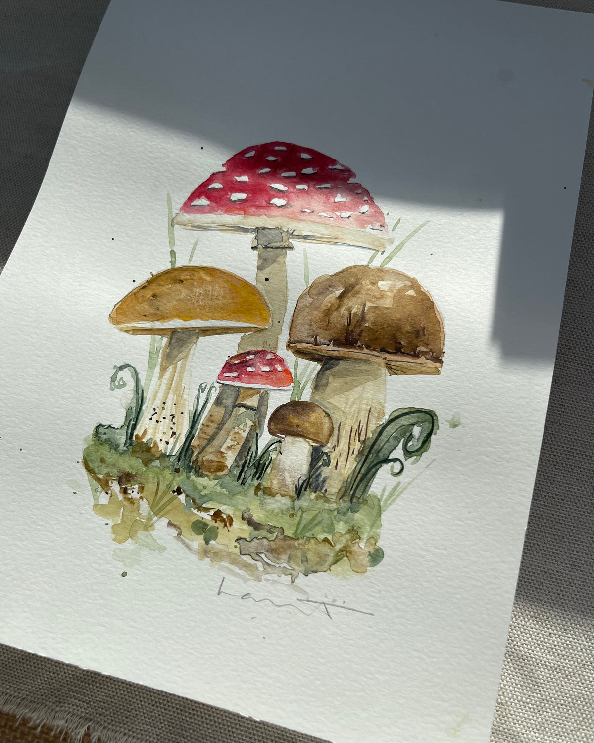 Found in the Forest