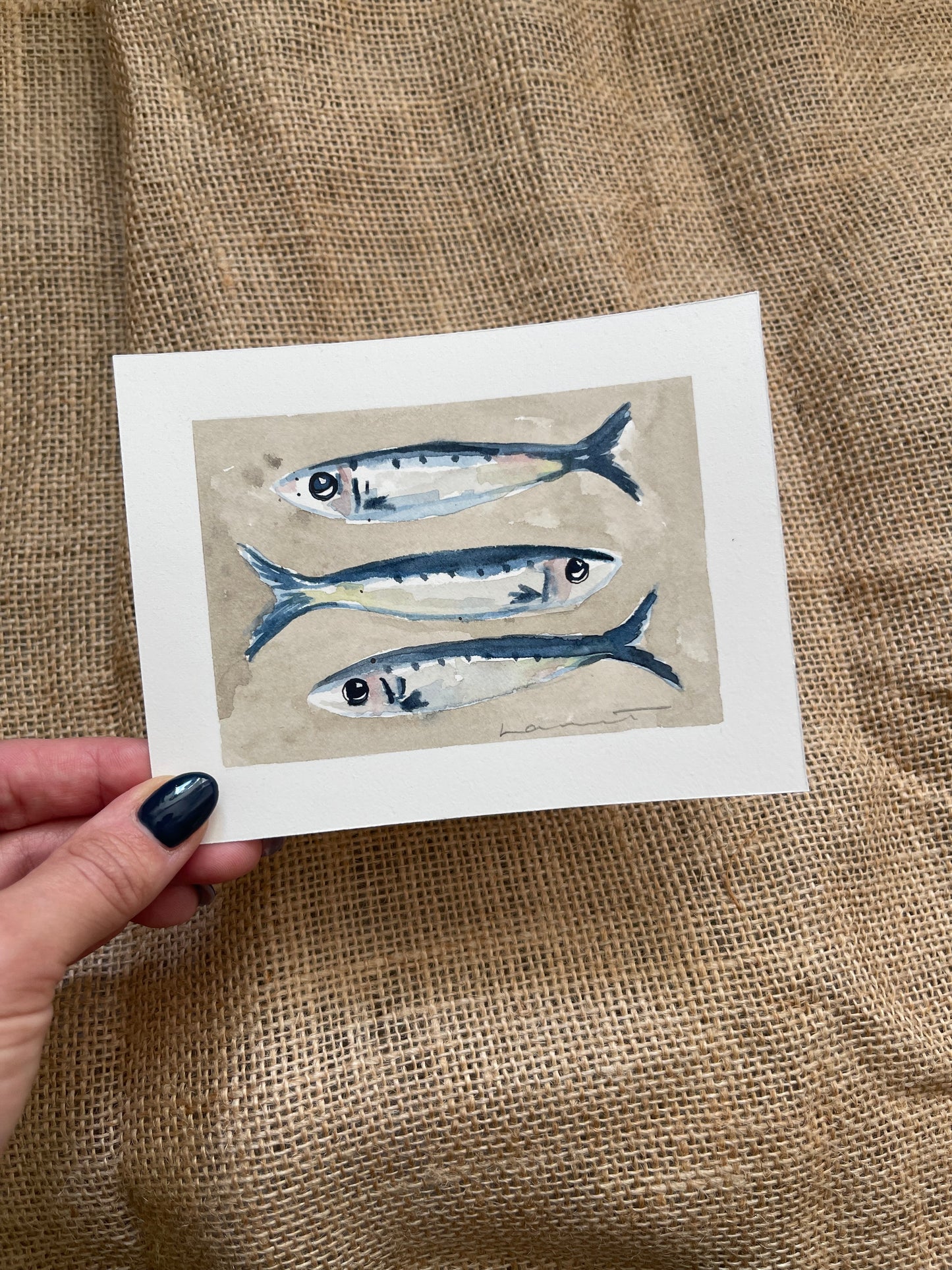 Sardine V Framed