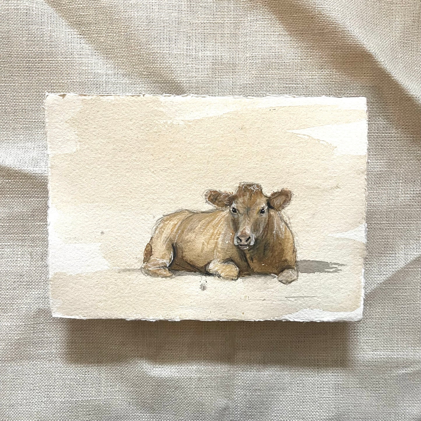 'Resting Cow' Framed