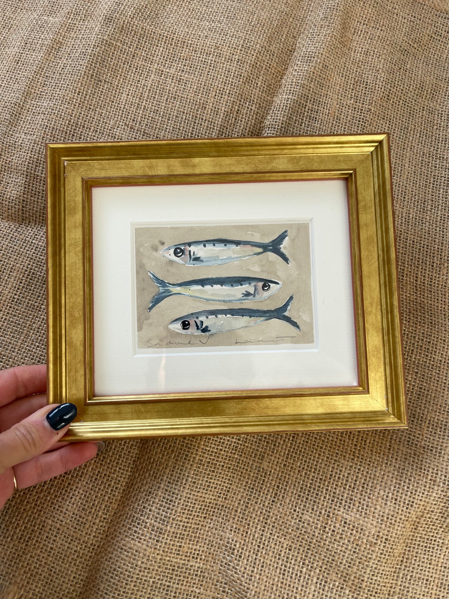 Sardine V Framed