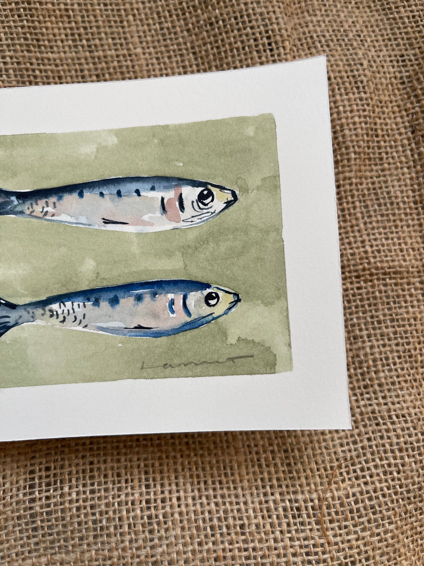 Sardine I
