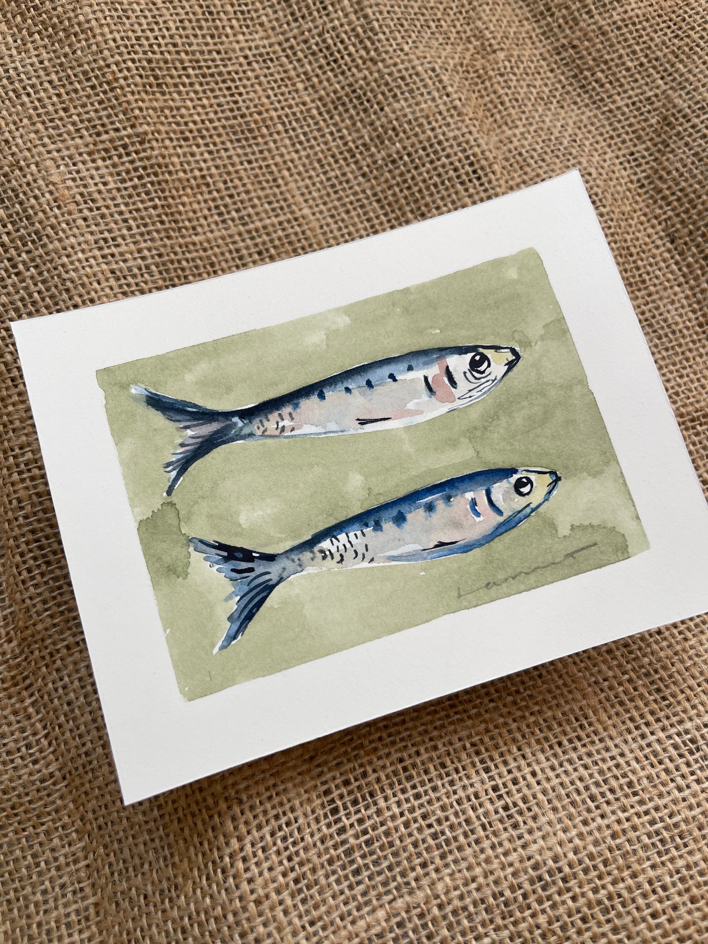 Sardine I