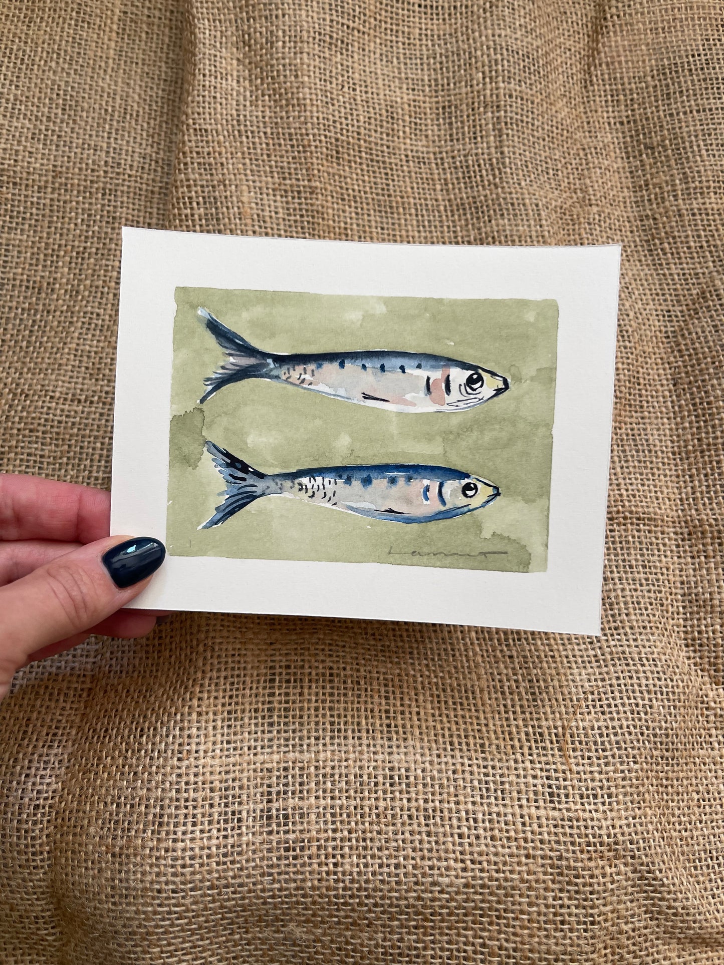 Sardine I