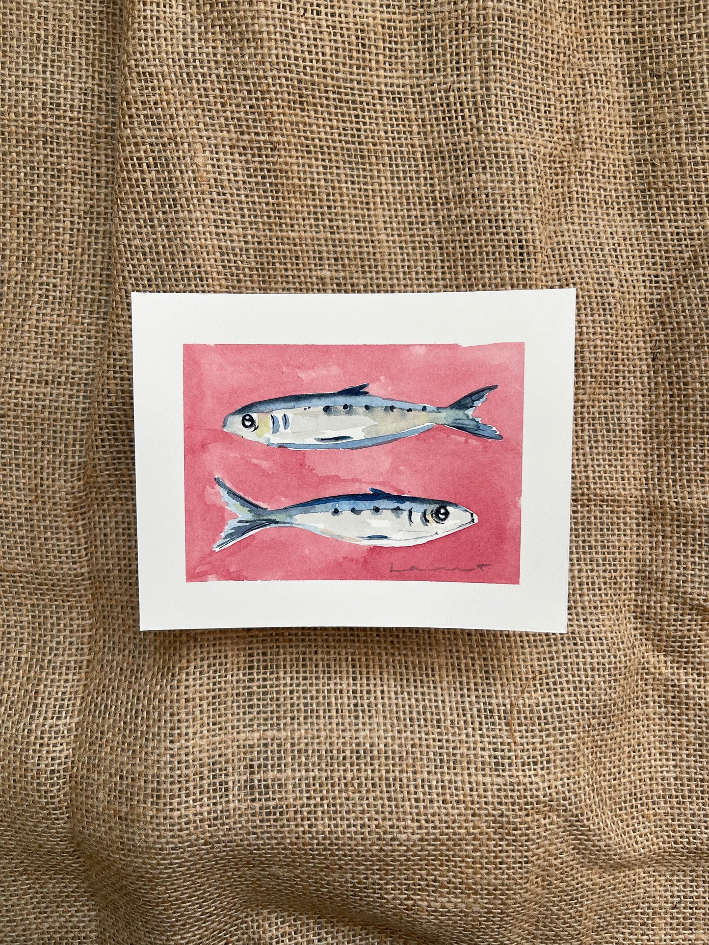 Sardine II