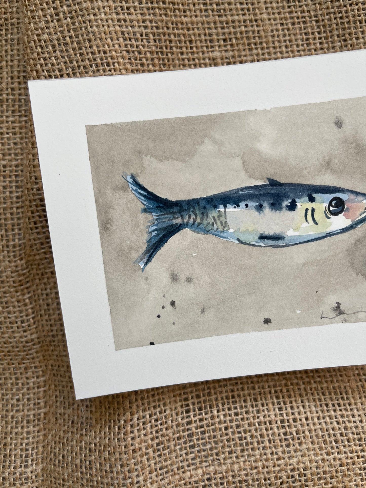 Sardine III