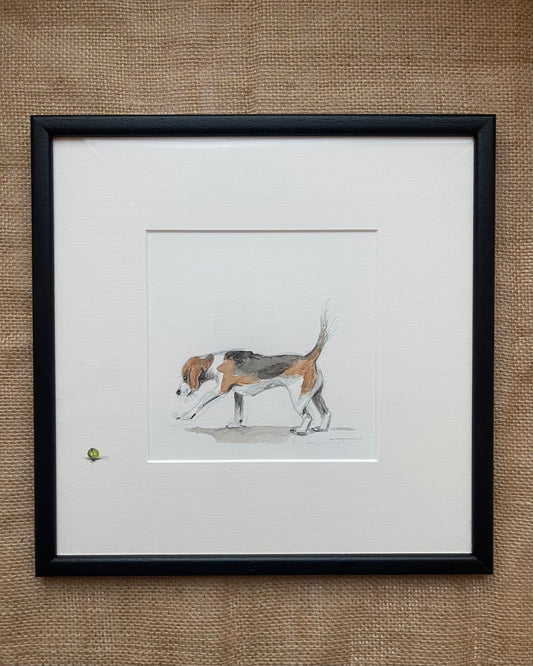 Happy Wanderer Beagle