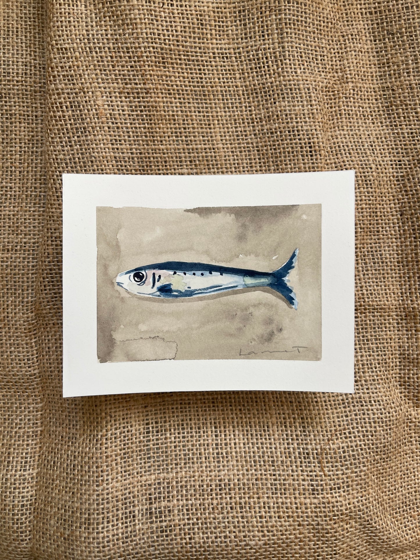 Sardine VI