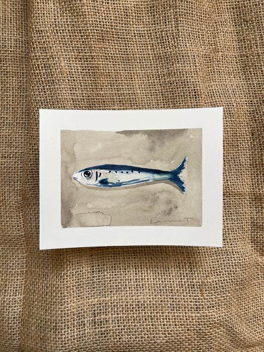 Sardine VI