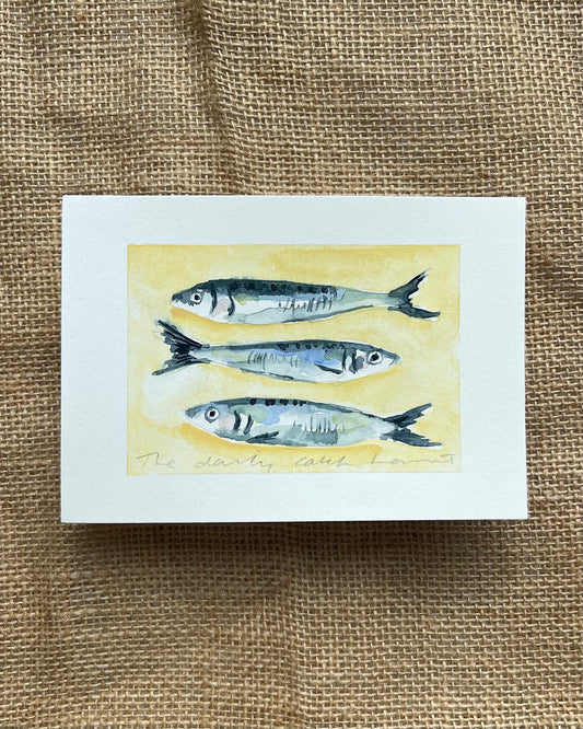 The Daily Catch