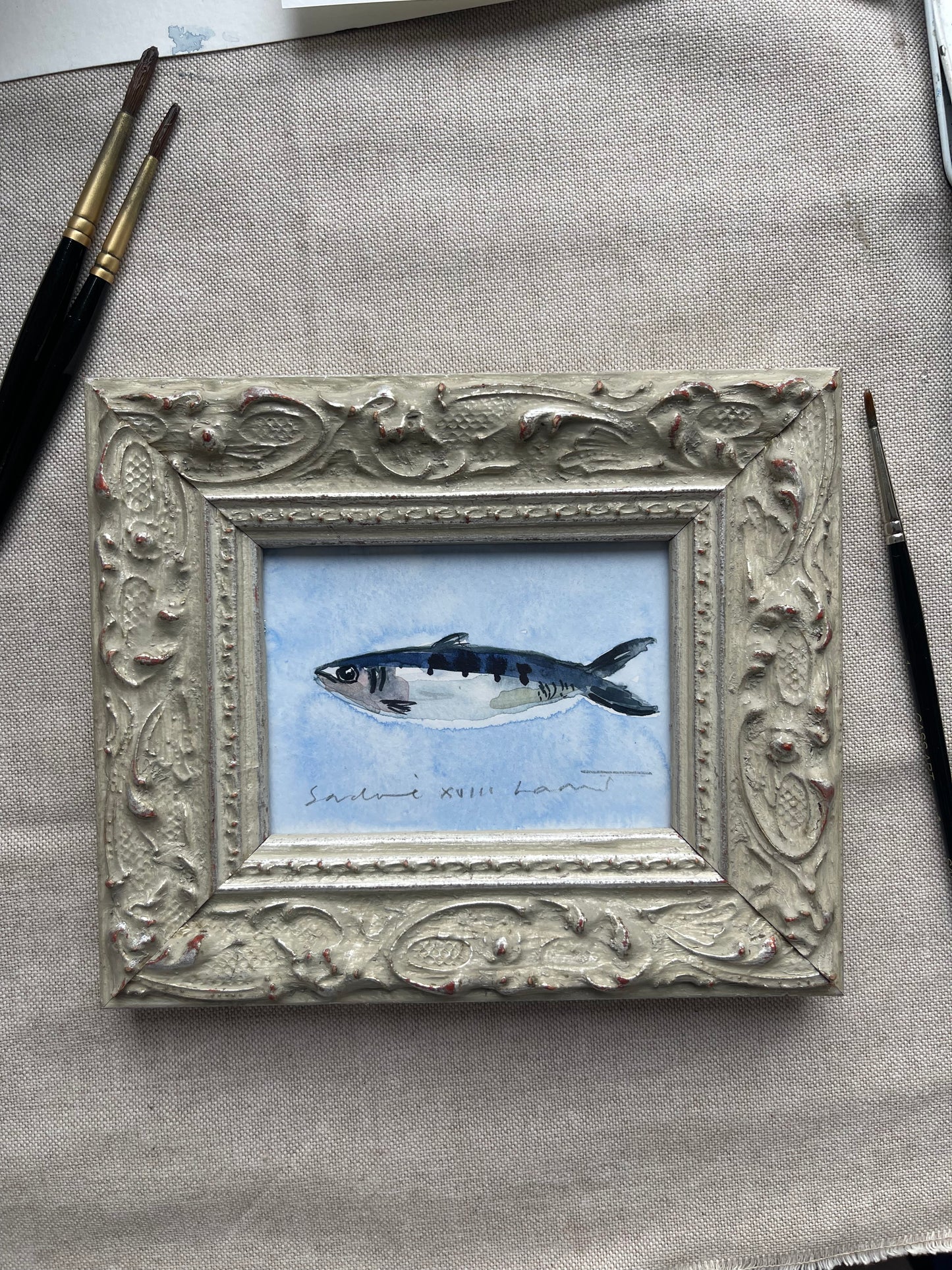 Sardine XVIII Framed