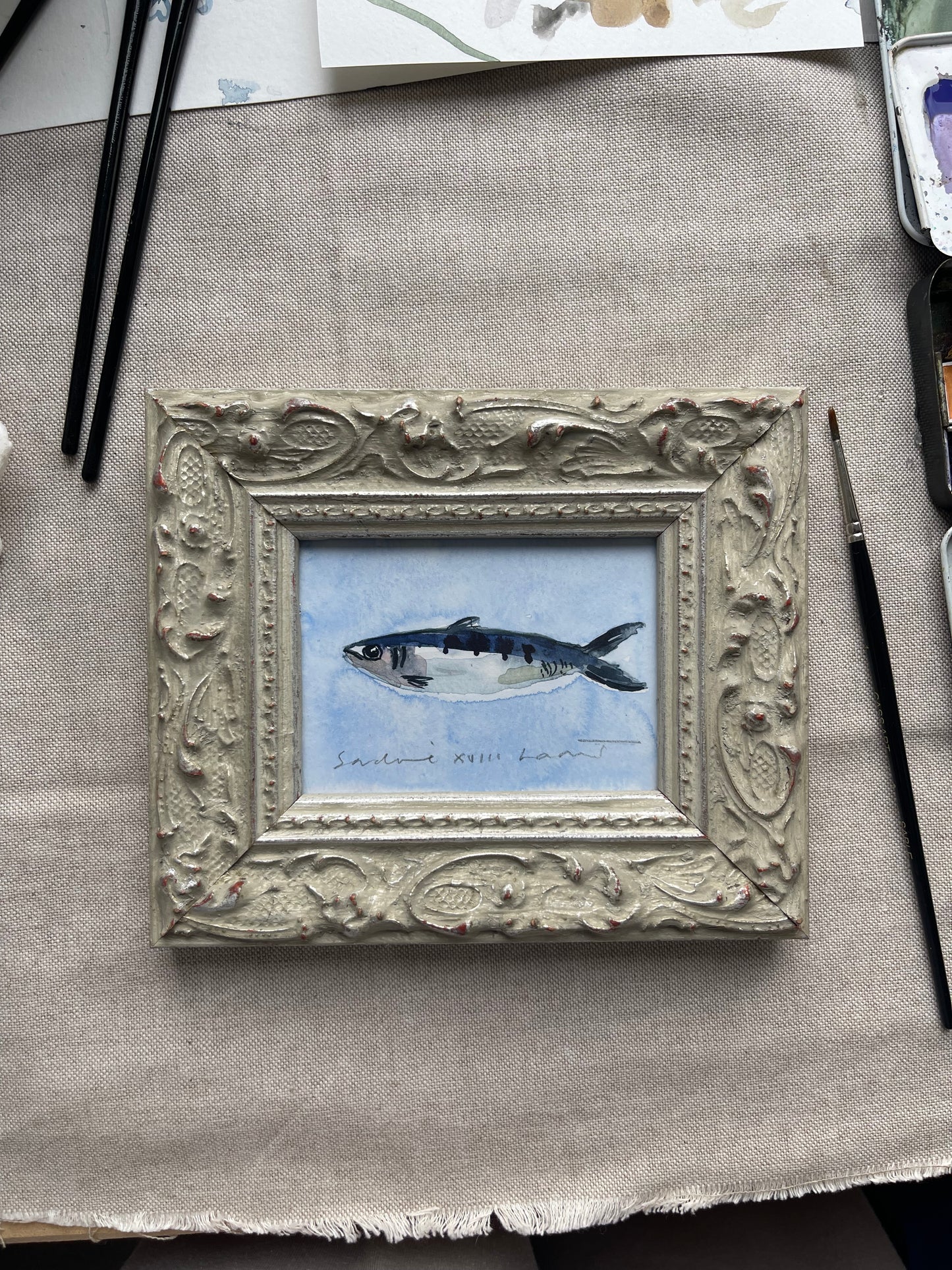 Sardine XVIII Framed