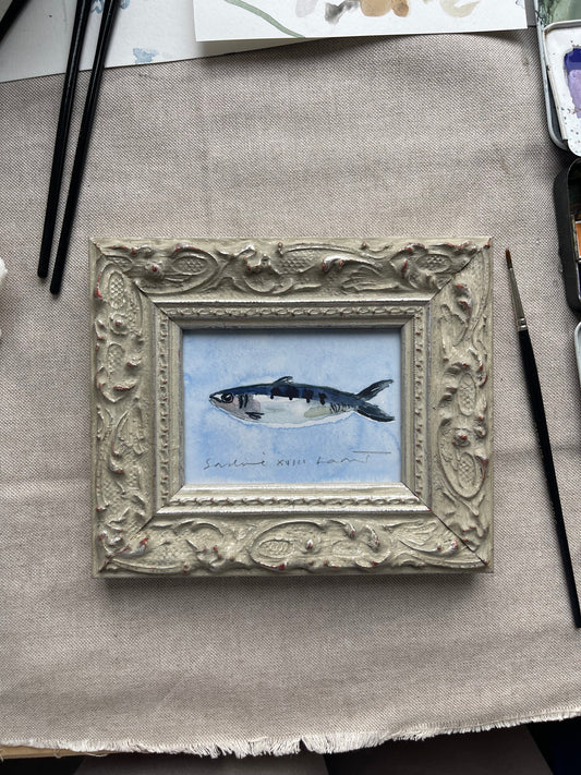 Sardine XVIII Framed
