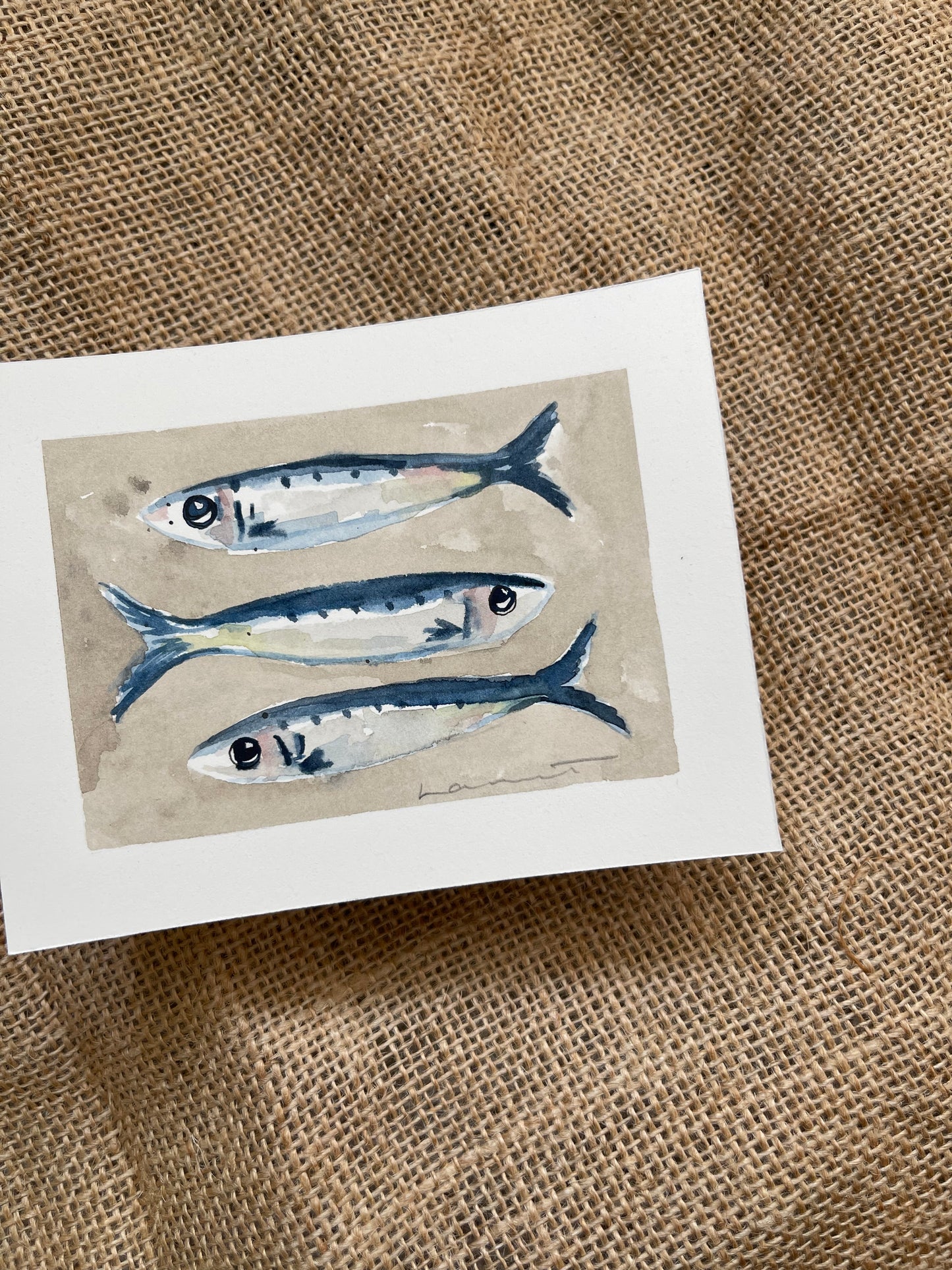Sardine V Framed