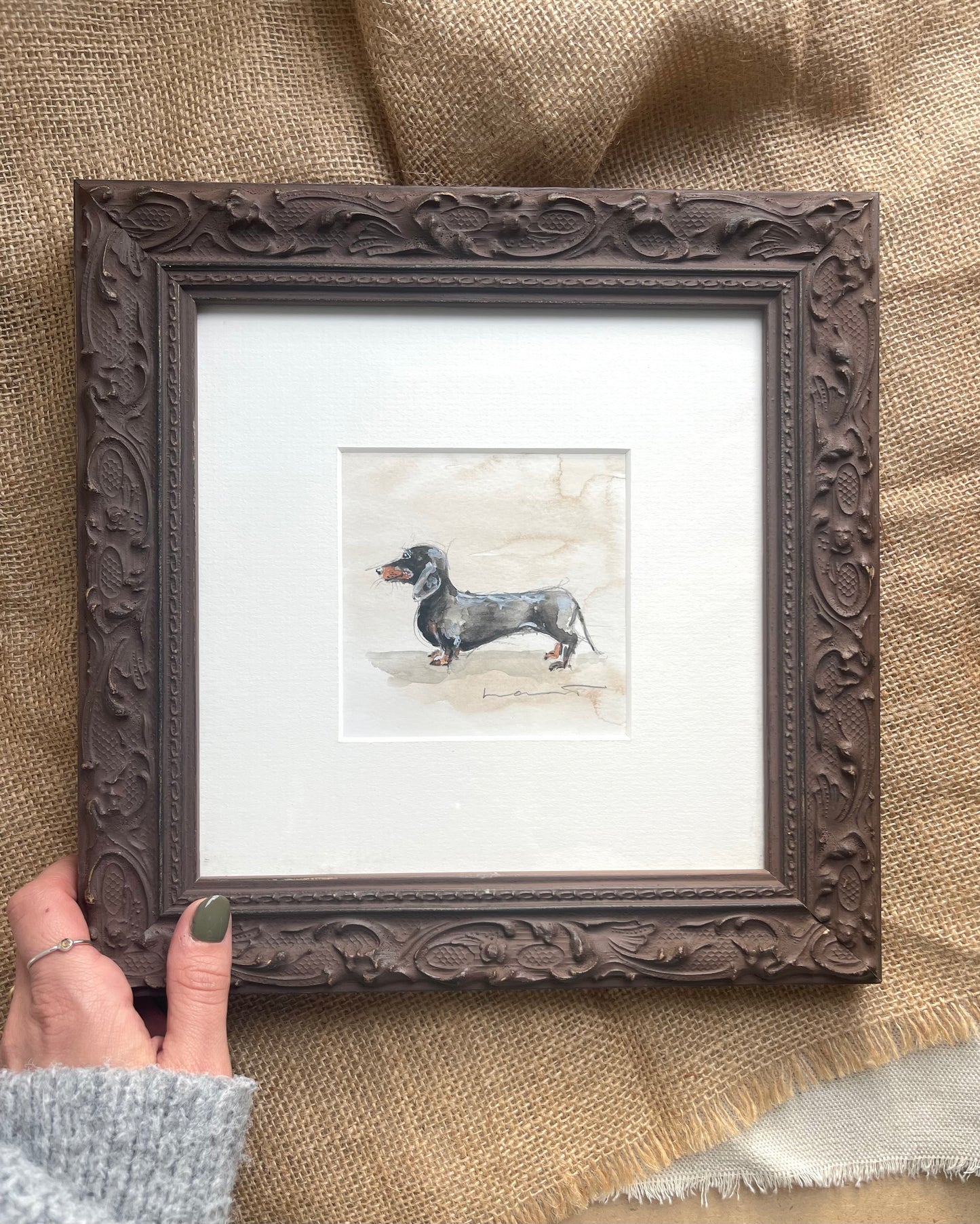 Black and Tan miniature dachshund