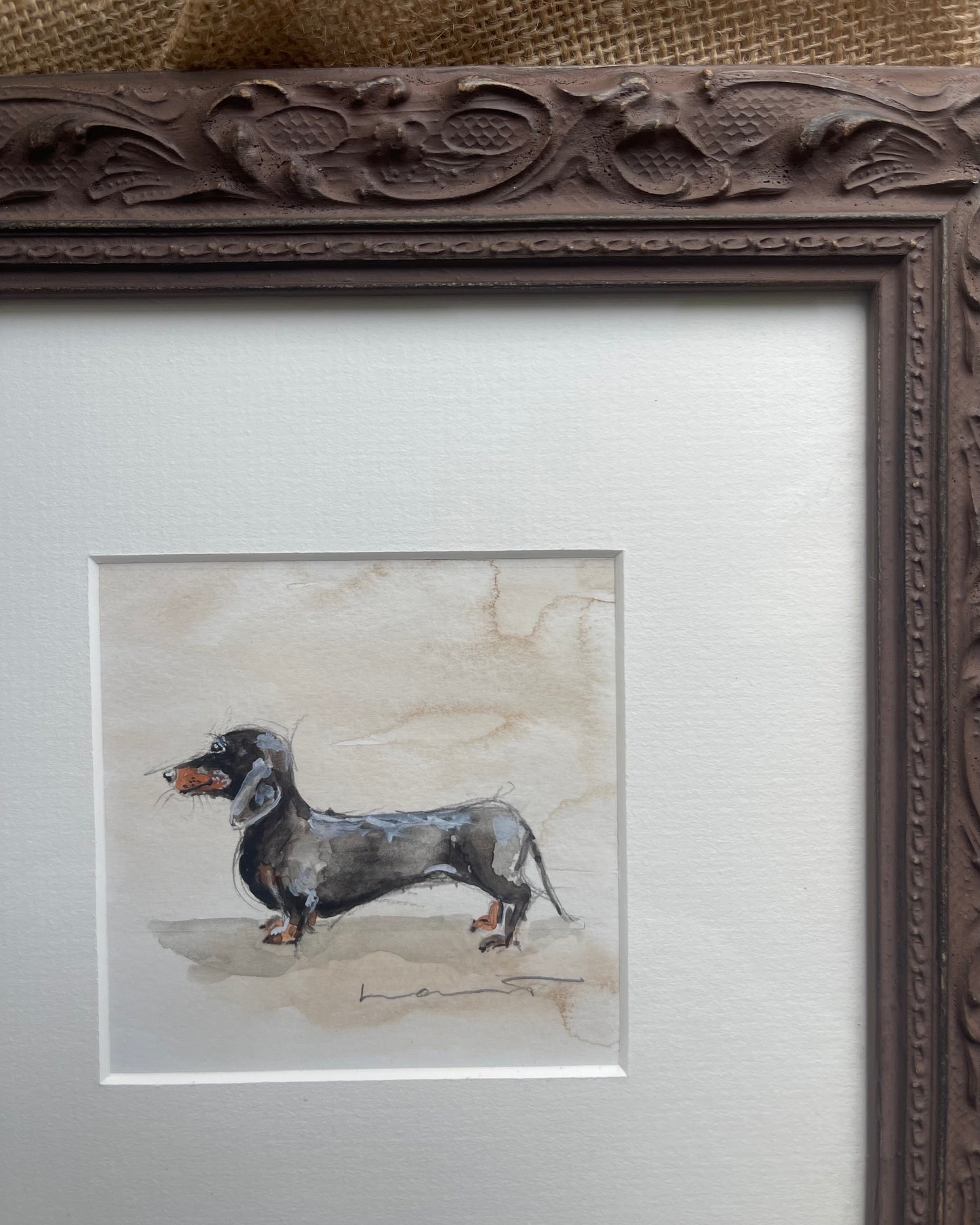 Black and Tan miniature dachshund