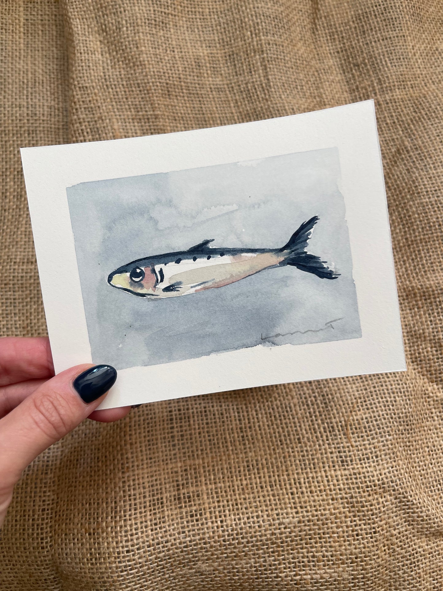 Sardine IV