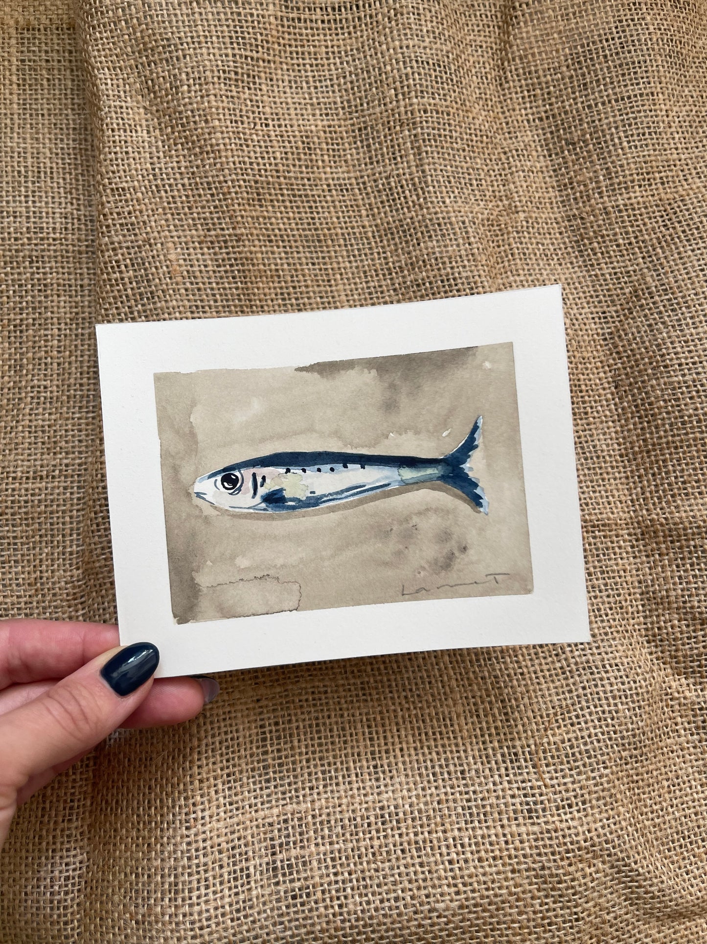 Sardine VI