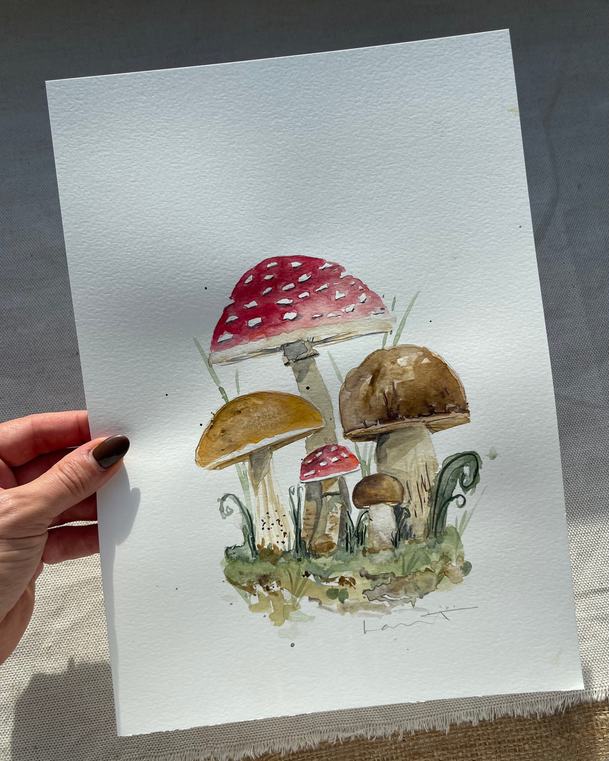Found in the Forest