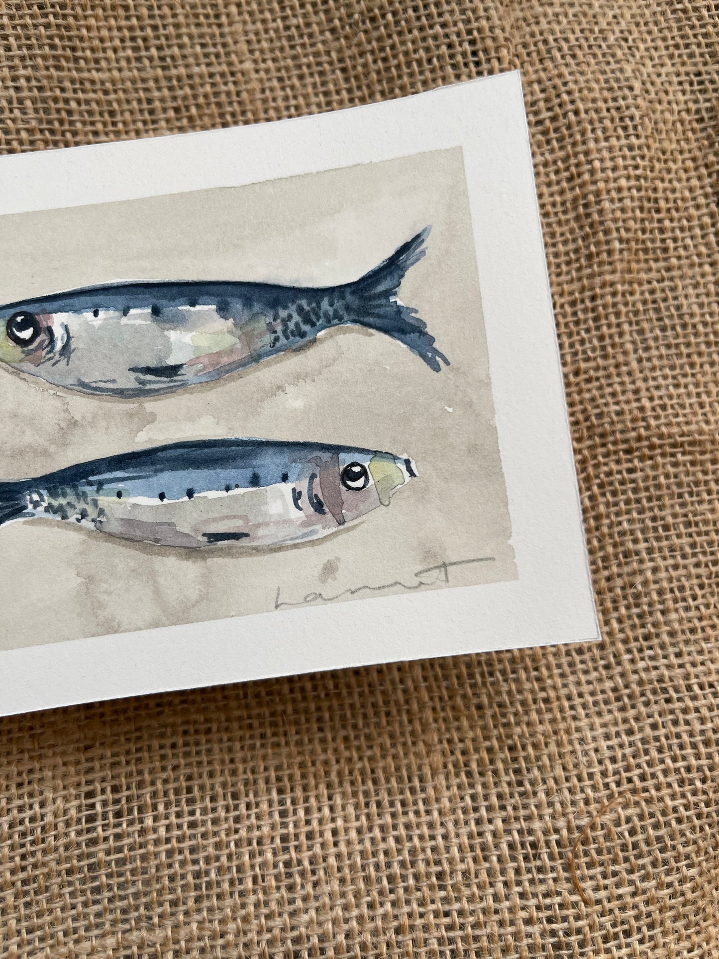 Sardine VII
