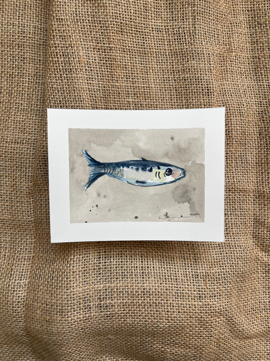 Sardine III