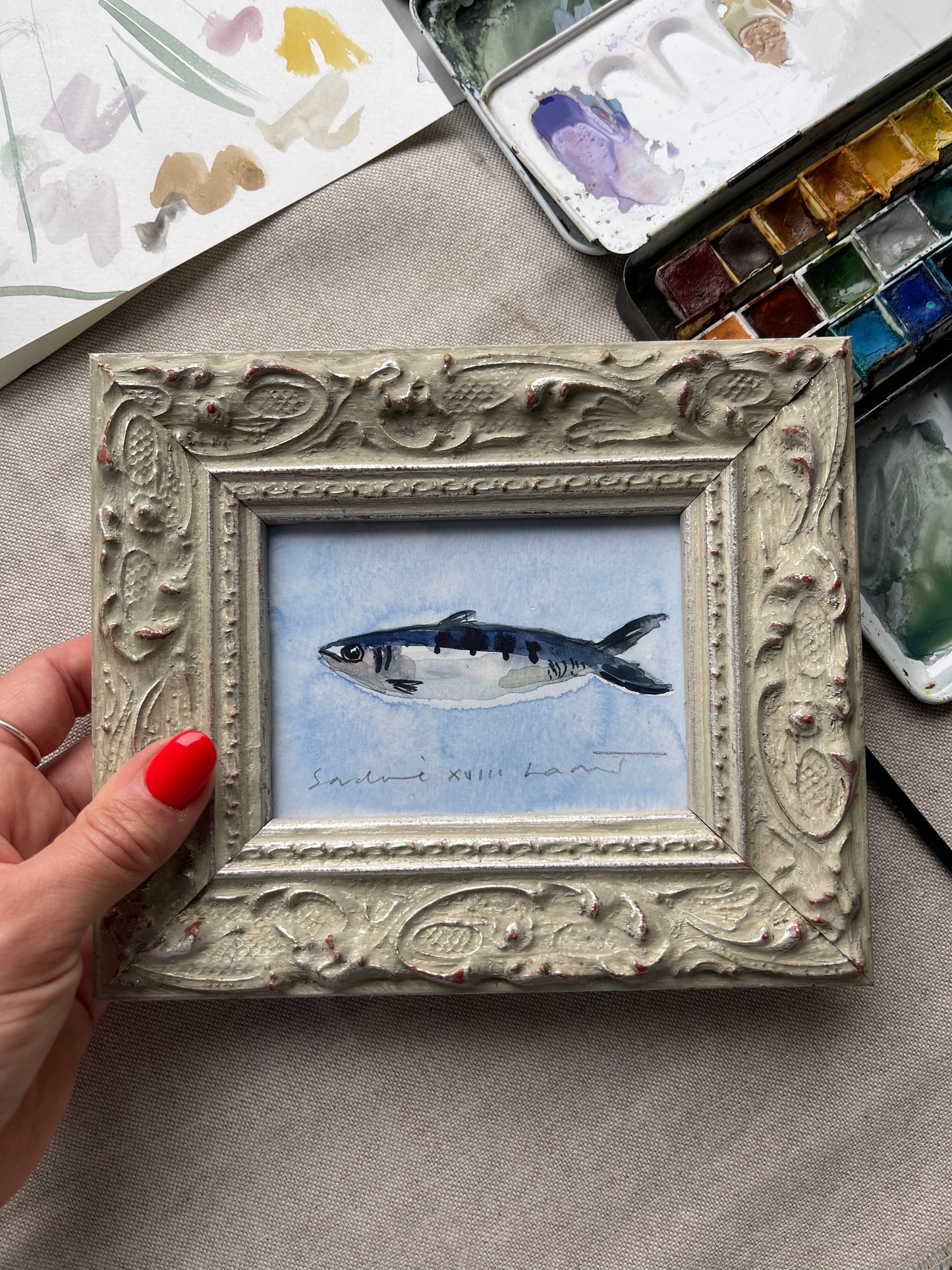 Sardine XVIII Framed