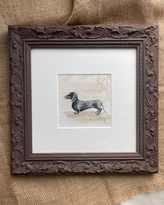 Black and Tan miniature dachshund