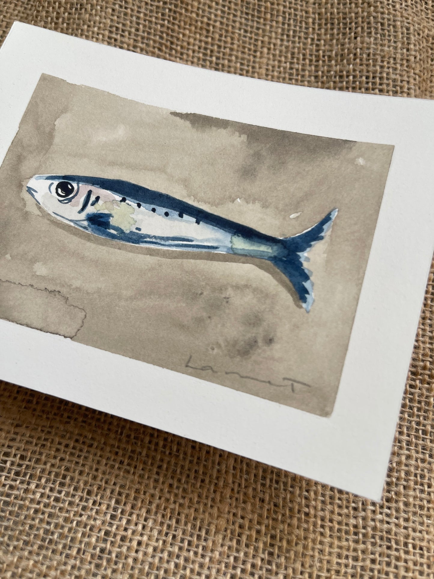 Sardine VI