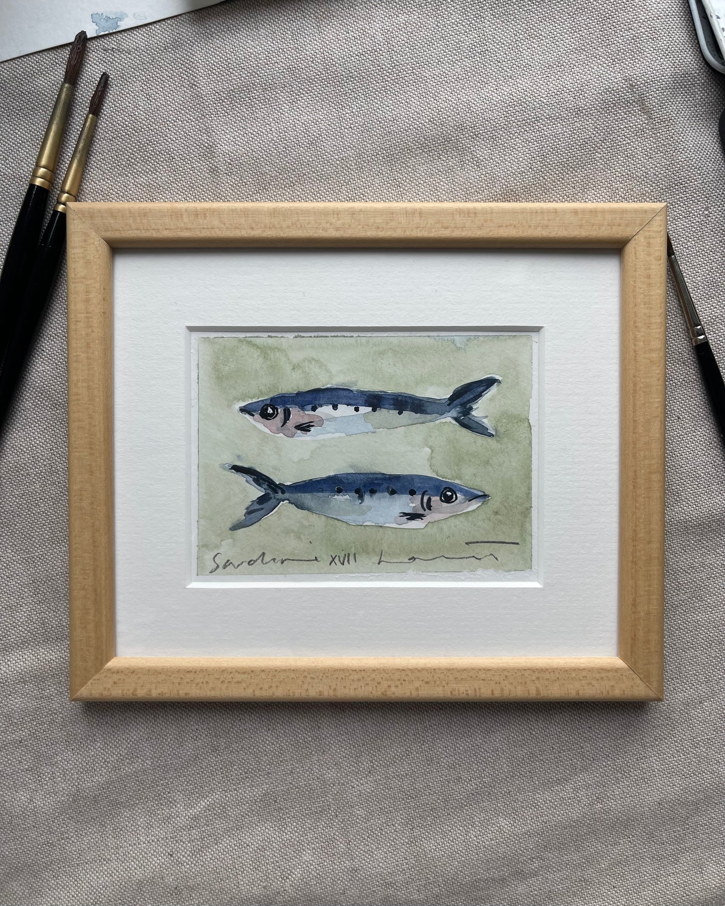 Sardine XVII Framed