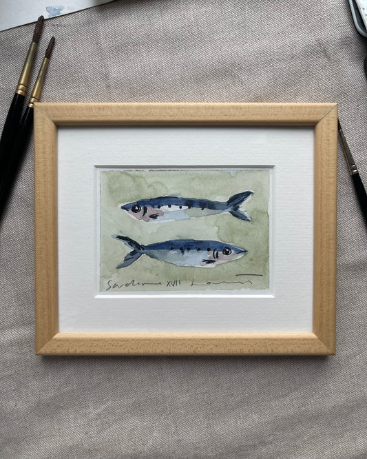 Sardine XVII Framed