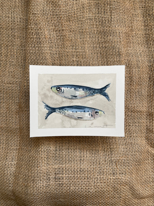 Sardine VII