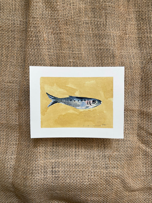 Sardine VIII