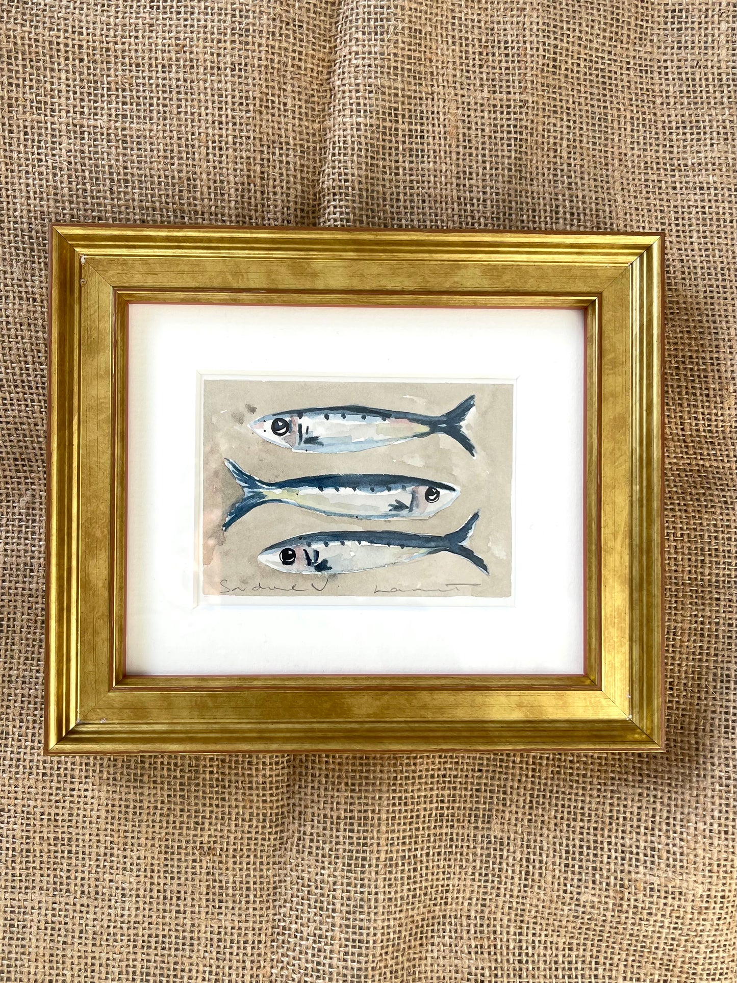Sardine V Framed