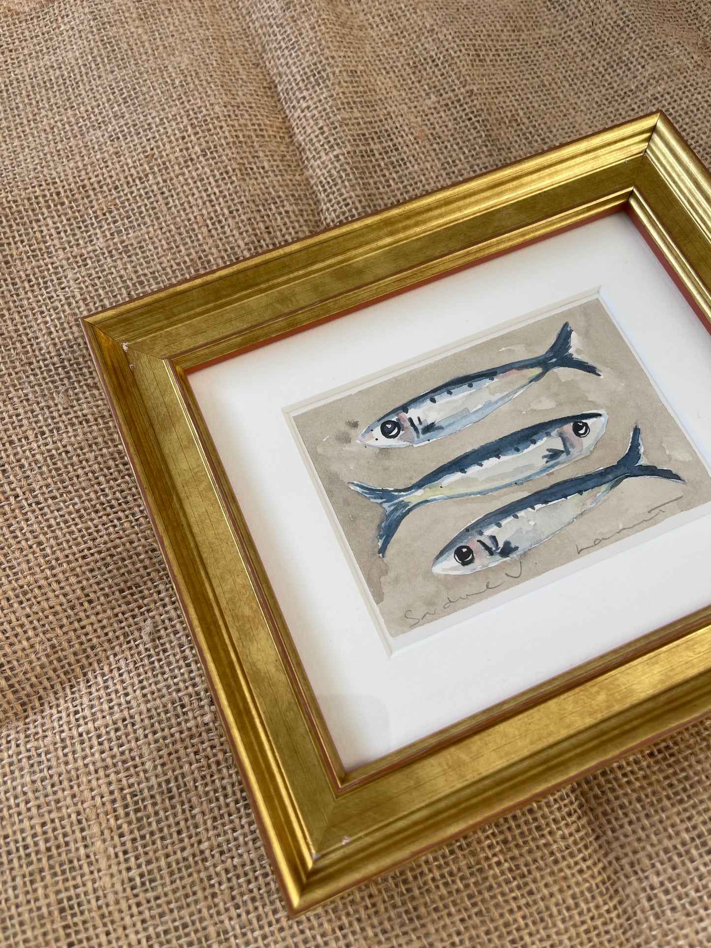 Sardine V Framed