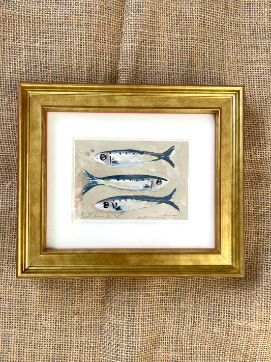 Sardine V Framed