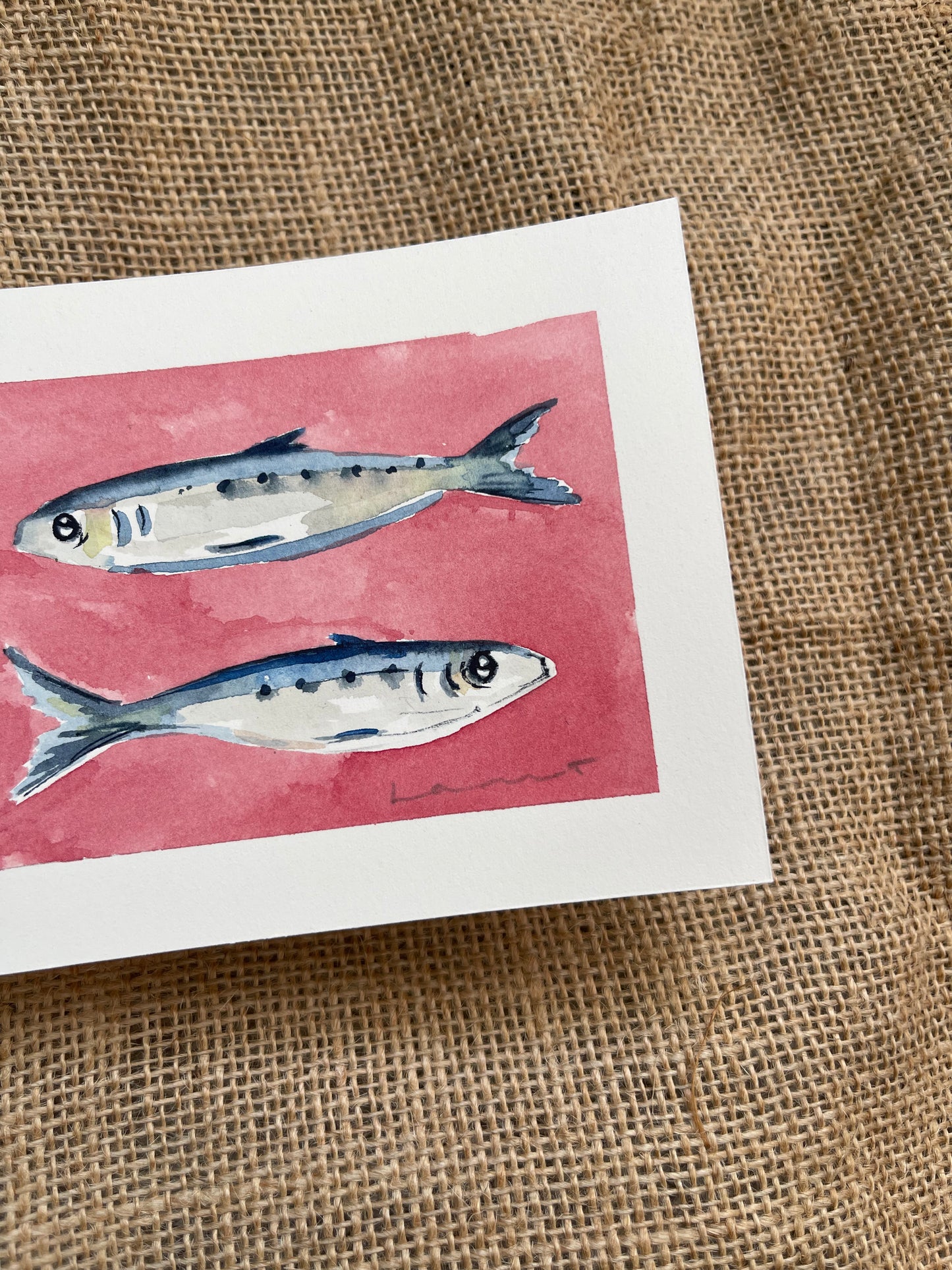 Sardine II