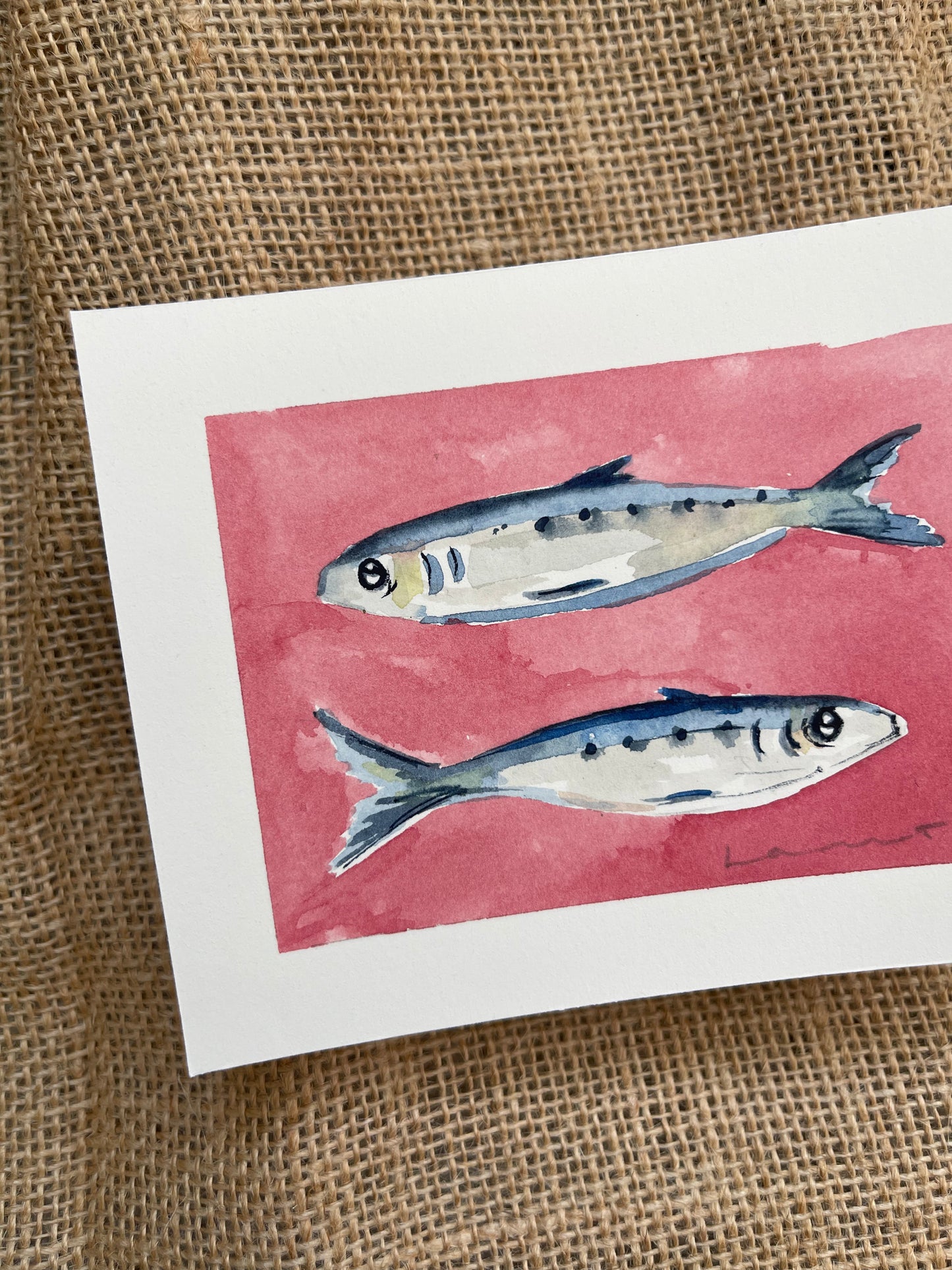 Sardine II