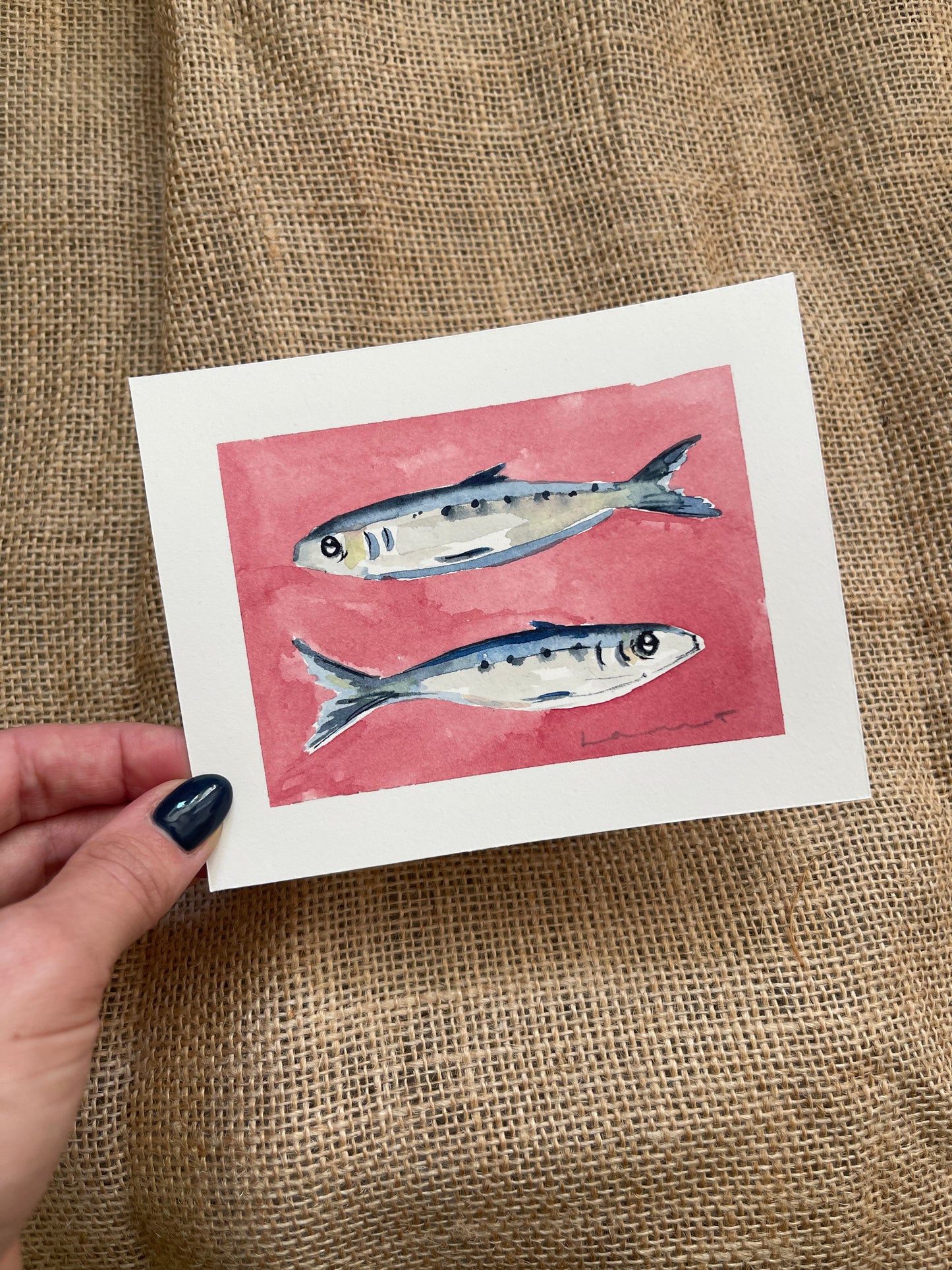 Sardine II