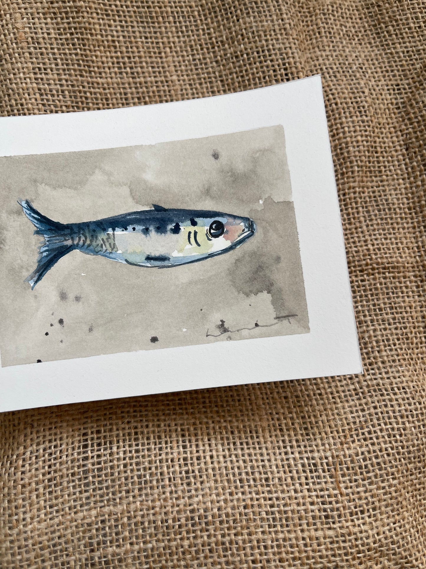Sardine III