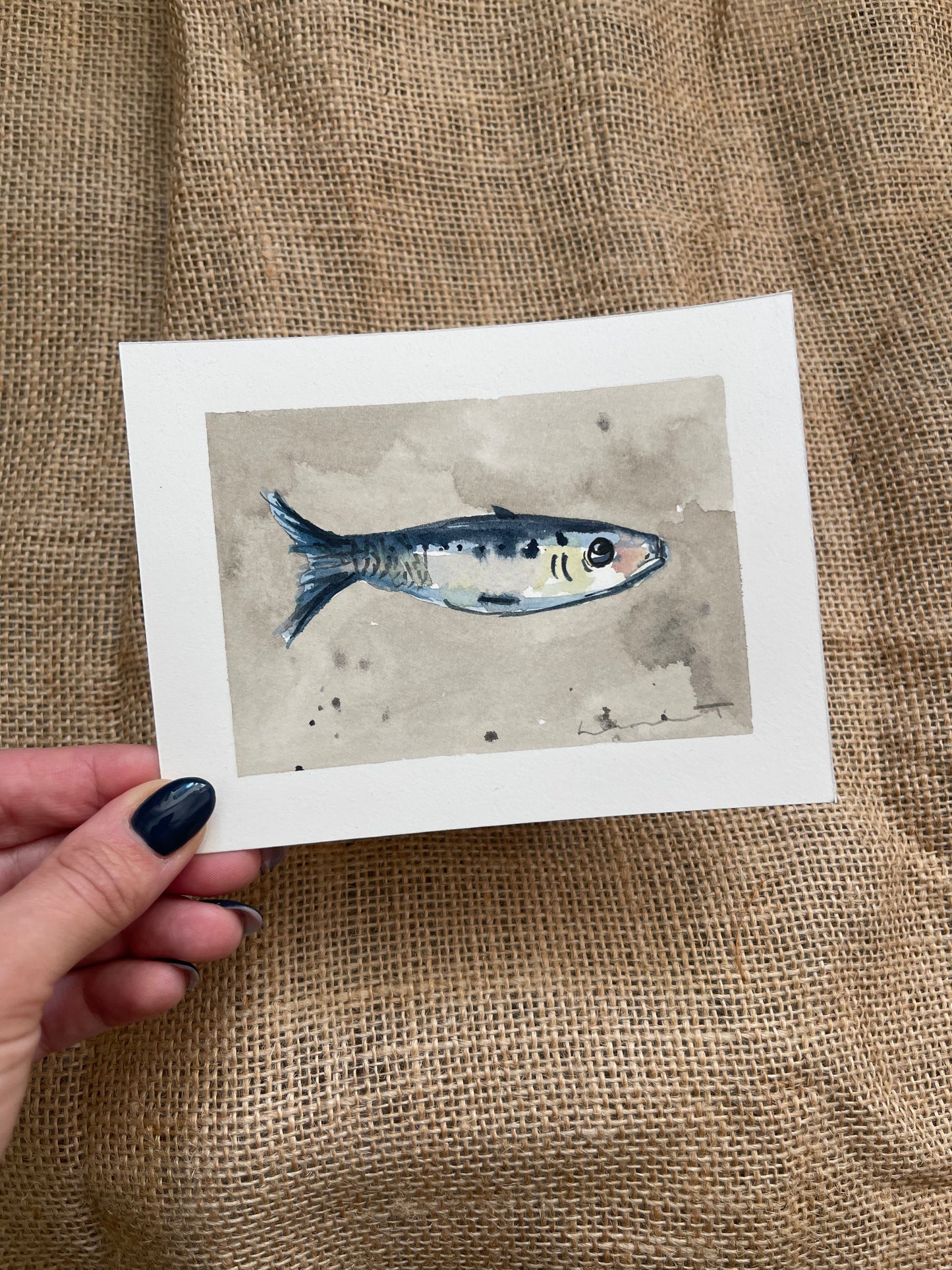 Sardine III