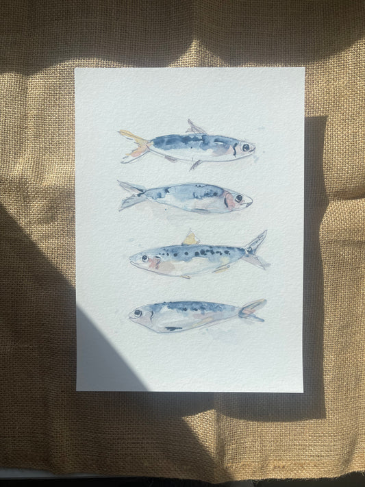 Shoal of Sardines